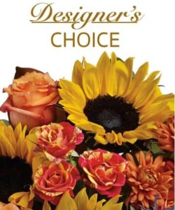 Fall Designer's Choice
